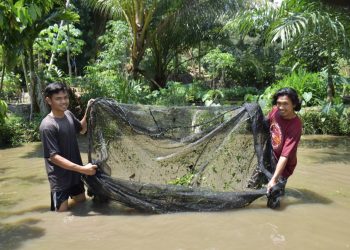 PTBA Beri Bekal Budidaya Ikan Air Tawar Kepada Mantan Pekerja PETI