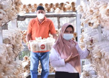 Program Mitra Binaan CSR PTBA Bangkitkan Kembali Usaha Jamur Tiram Milik Rahmawati