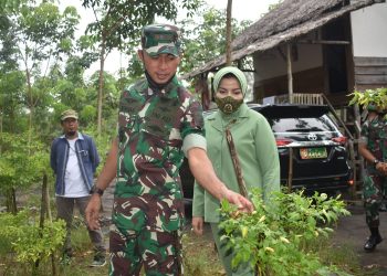 Dandim 0404 Muara Enim Tinjau Kampung Ketahanan Pangan