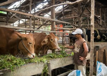 Bukit Asam Usung Program “Ruang Rural” dalam Kembangkan Inovasi Pangan