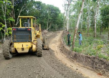 Sebelum Dibangun Jalan, Warga Akui Sering Kesulitan Angkut Hasil Perkebunan