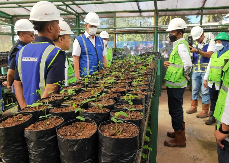 Manfaatkan Lahan Eks Tambang dan Jaga Lingkungan, Bukit Asam Bangun Botanical Garden