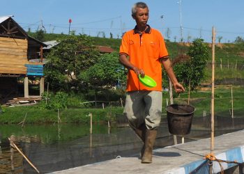 PTBA Sulap Lahan Eks Tambang Jadi Tambak Ikan