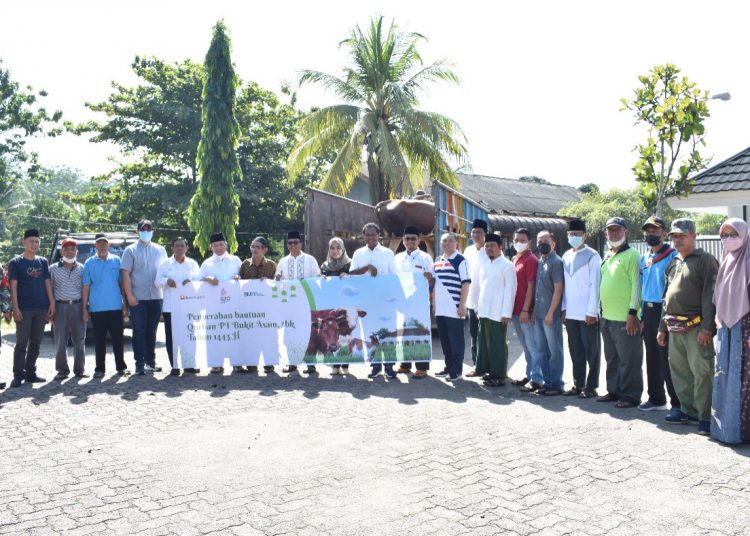 PTBA Salurkan 100 Ekor Sapi Kurban Kepada Masyarakat Disekitar Perusahaan