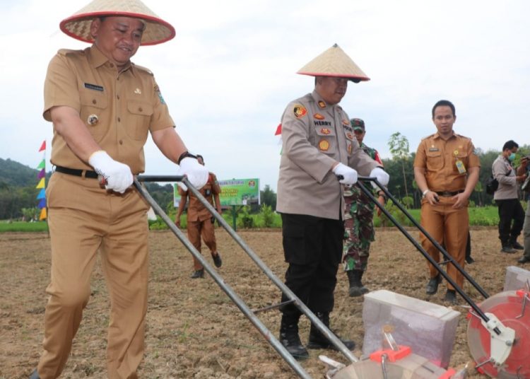 Wujudkan Ketahanan Pangan, Pj Bupati Tanam Jagung Perdana