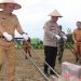 Wujudkan Ketahanan Pangan, Pj Bupati Tanam Jagung Perdana