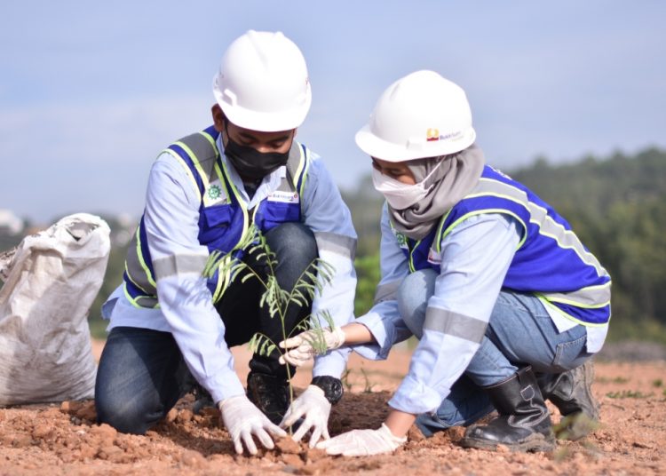 Pulihkan Lahan Bekas Tambang, Bukit Asam Telah Tanam 1,33 Juta Pohon
