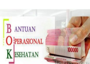 Layanan Kesehatan Pakai Dana Pribadi, Pimpus Keluhkan BOK Belum Cair