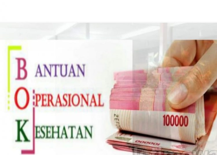 Layanan Kesehatan Pakai Dana Pribadi, Pimpus Keluhkan BOK Belum Cair