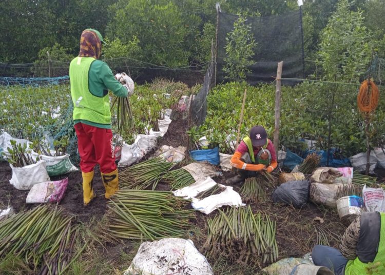Dukung Rehabilitasi DAS dan Pariwisata, PTBA Perluas Pusat Persemaian