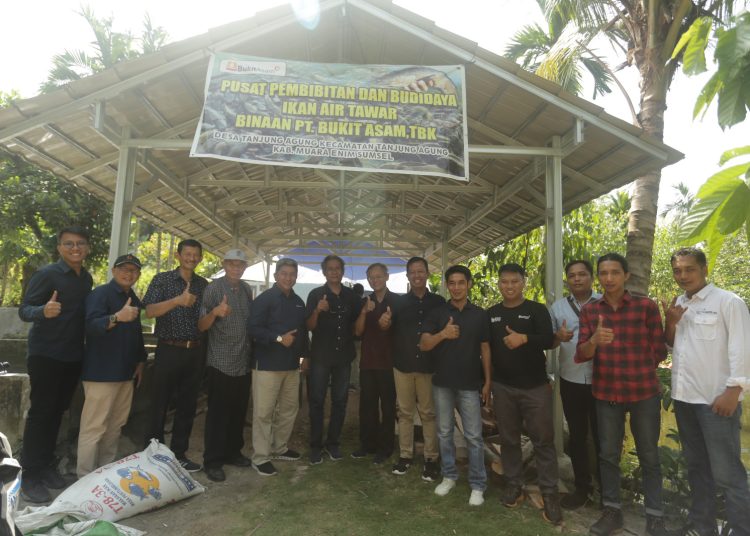 Bukit Asam Sejahterakan Petani Lewat Budidaya Beras Organik