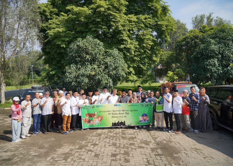 Jelang Hari Raya Idul Adha 1444 H, Bukit Asam Salurkan 145 Sapi dan 56 Kambing