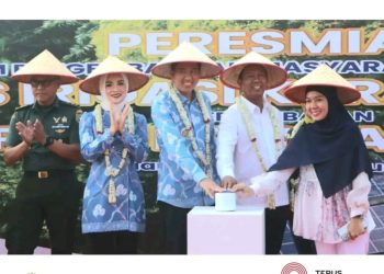 Tingkatkan Produksi Pertanian, Plt Bupati Resmikan PLTS Irigasi Karang Raja