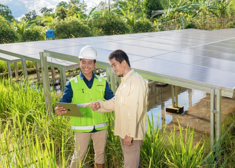 PLTS Irigasi Bukit Asam (PTBA) Jadi Andalan Petani Desa Nanjungan