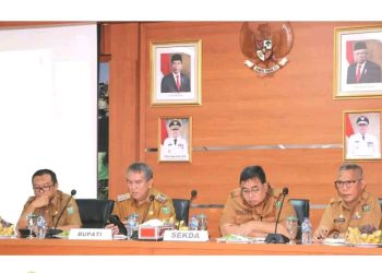Pj. Bupati Muara Enim Ikuti Rakor Pengendalian Inflasi Bersama Mendagri