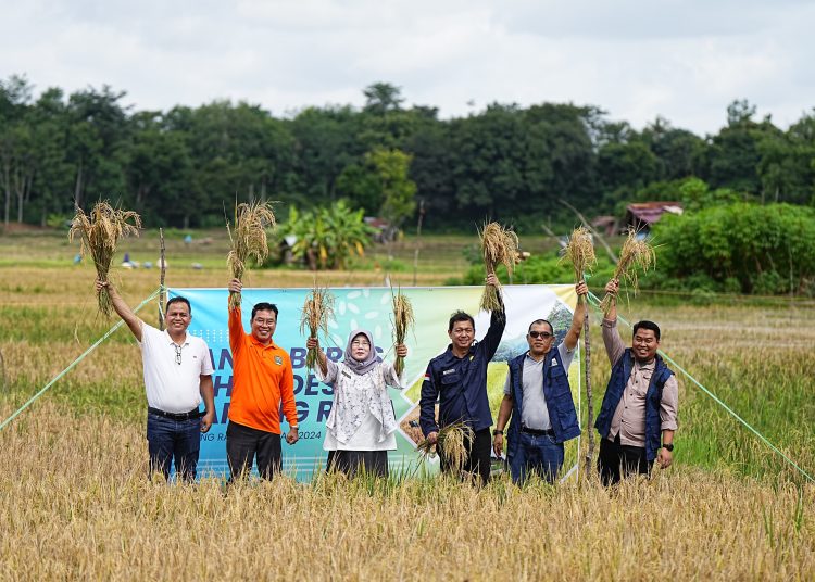 PLTS Irigasi Bukit Asam (PTBA) Dukung Pertanian Berkelanjutan