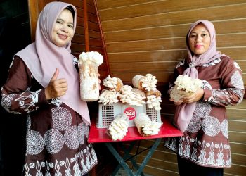 Bukit Asam (PTBA) Bantu Warga Desa Bangkitkan Usaha Jamur Tiram