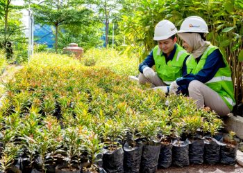 Bukit Asam (PTBA) Menuju Perusahaan Energi Kelas Dunia yang Peduli Lingkungan