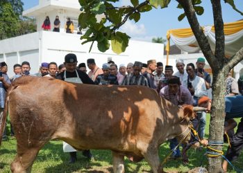 Jelang Idul Adha, Bukit Asam (PTBA) Gelar Pelatihan Penyembelihan Hewan Kurban