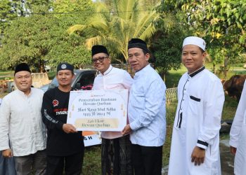 Idul Adha 1445 H, Bukit Asam (PTBA) Salurkan 196 Sapi dan 65 Kambing Kurban