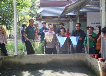 Perluas Lapangan Kerja, Bukit Asam (PTBA) Dorong Budidaya Ikan Gabus di Desa Tanjung Agung