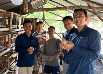 Bukit Asam (PTBA) Dorong Transformasi Desa Seleman Lewat Budidaya Burung Puyuh