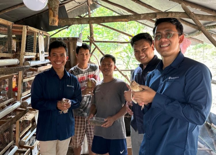 Bukit Asam (PTBA) Dorong Transformasi Desa Seleman Lewat Budidaya Burung Puyuh