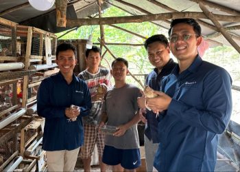 Didukung Bukit Asam (PTBA), Usaha Ternak Puyuh Ciptakan Lapangan Kerja Baru di Desa Seleman