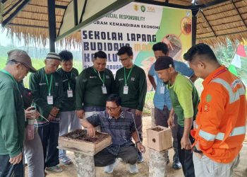 PTBA Dukung Pengembangan UMKM Berbasis Alam melalui Madu Galo-Galo Cupiang