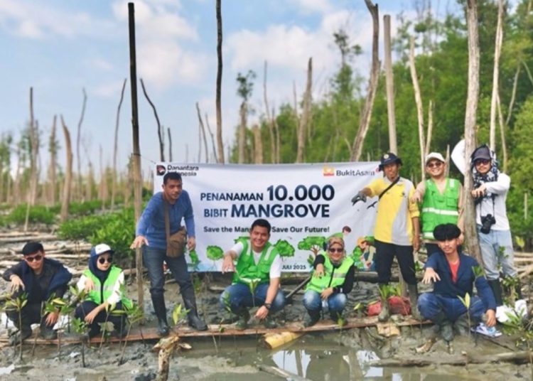 PT Bukit Asam Tbk (PTBA) Bergerak Menghijaukan Pesisir Lampung, Tanam 10.000 Mangrove di Lampung Timur