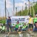 PT Bukit Asam Tbk (PTBA) Bergerak Menghijaukan Pesisir Lampung, Tanam 10.000 Mangrove di Lampung Timur