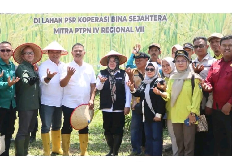 Wabup Muara EnimTanam Perdana Padi Gogo di Desa Fajar Indah