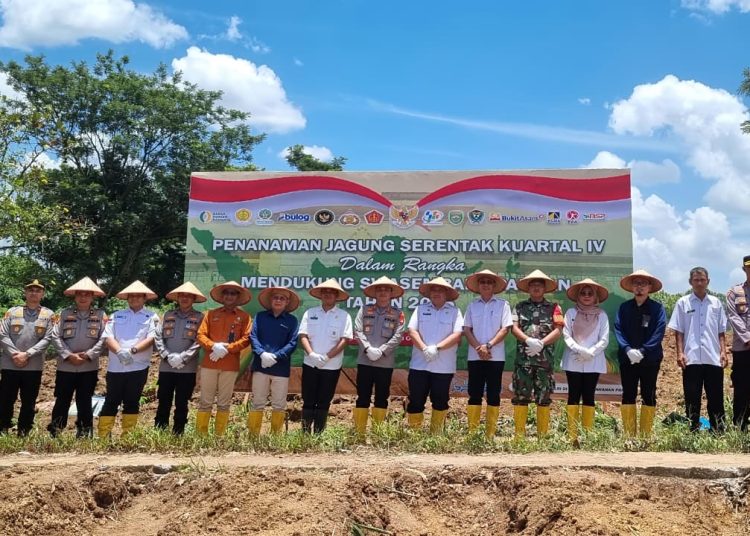 PTBA Berkolaborasi Wujudkan Ketahanan Pangan Melalui Program Penanaman Jagung