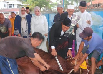 Khidmat Idul Adha 1447 H, Pemkab Muara Enim Tebar Kepedulian Lewat 20 Hewan Kurban