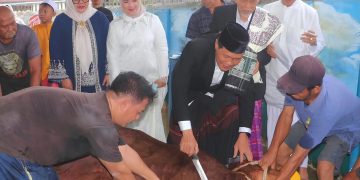 Khidmat Idul Adha 1447 H, Pemkab Muara Enim Tebar Kepedulian Lewat 20 Hewan Kurban