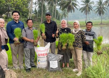 PTBA Gandeng UGM Uji Pupuk Kalium Humat di Sawahlunto, Dorong Produktivitas Pertanian
